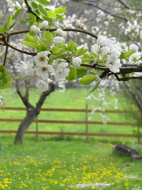 B&B Autin Bruzolo Zewnętrze zdjęcie